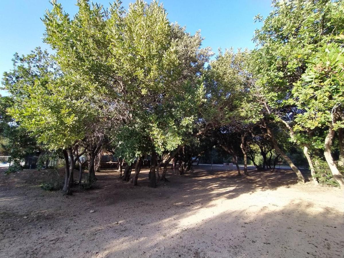New Camping Coccorrocci Marina di Gairo Exterior photo
